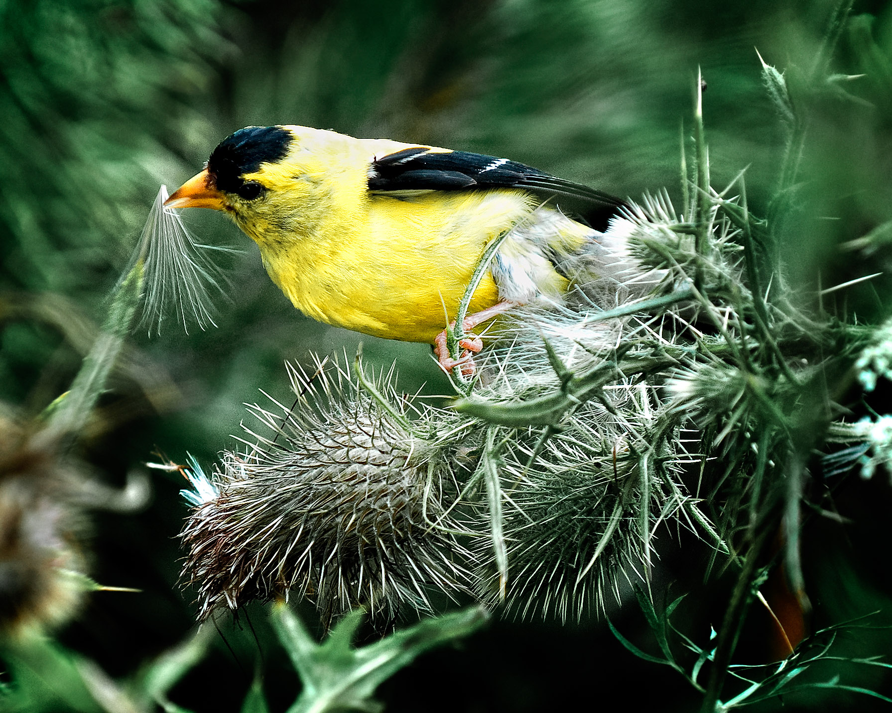 _3GK0598-